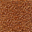 Seed Beads