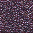 Seed-Frosted Beads