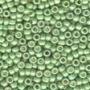 Seed-Antique Beads