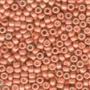 Seed-Antique Beads