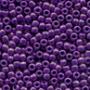 Copy of Seed Beads